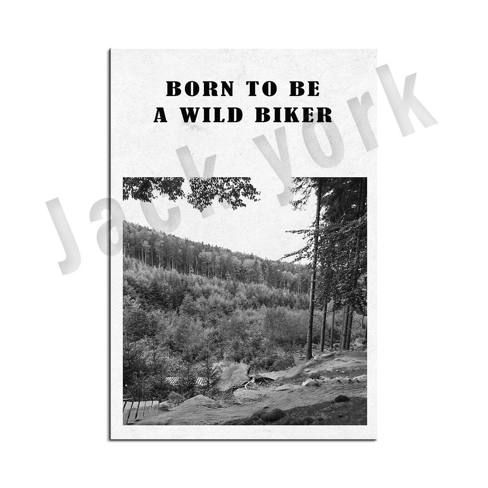 فن الدراجة الجبلية، ملصقات الد - مراجعة Mountain Biking York وسعره